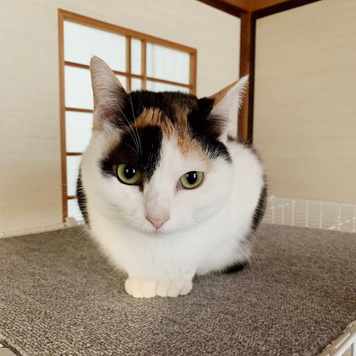 921c1ff4 abc5 42f6 a0a8 6852708d9ce6 1550714035867