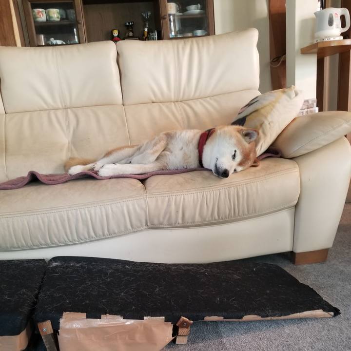 921c3518 4c59 4d57 bb13 6388e1d66cc7 1753510381291