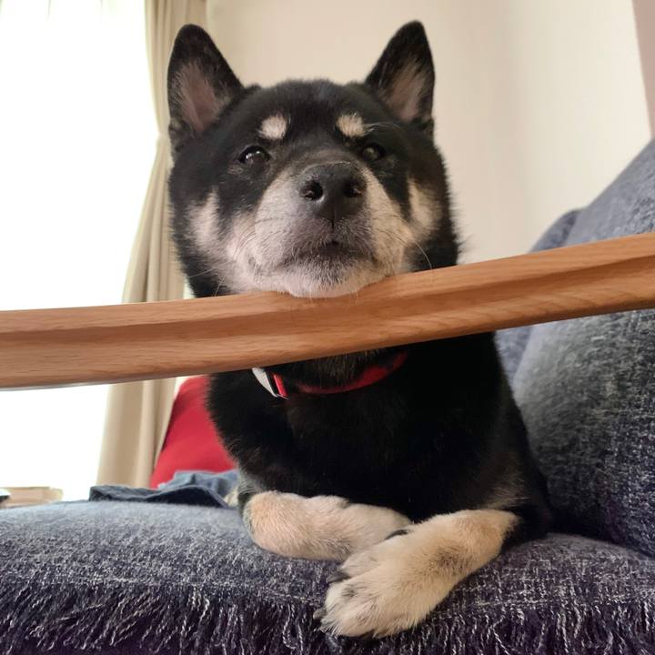 921c50ce eef2 4671 97e2 6551730f1ee6 1628825474824