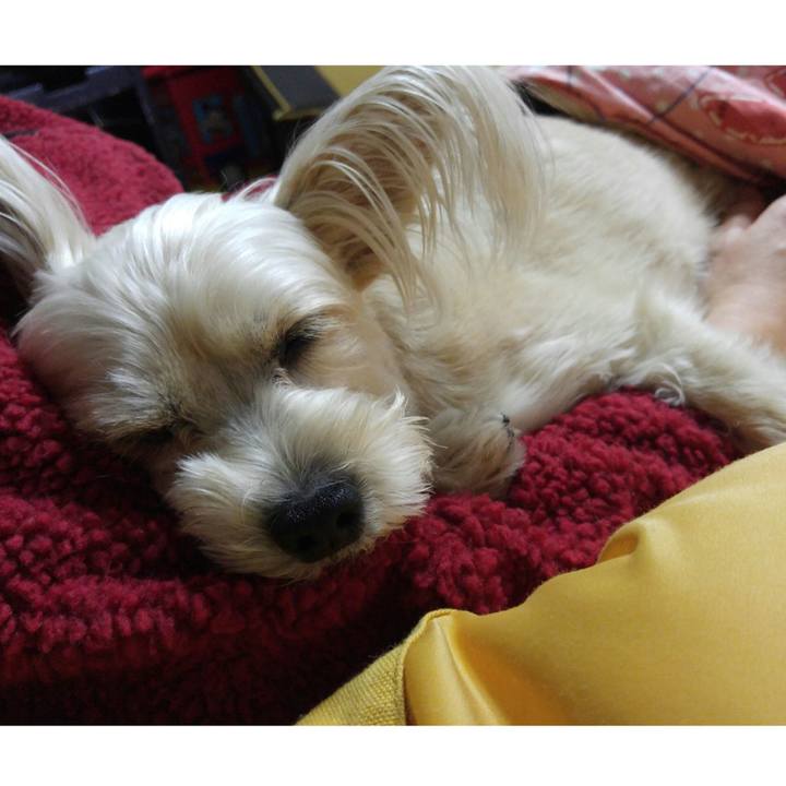 921c69a1 a243 4f1e 9d05 252b474bbb43 1515239505984