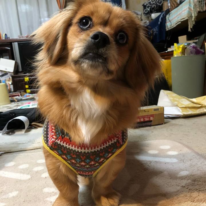 921c8a3e 1615 4c66 a010 87f038196a9a 1513287155165