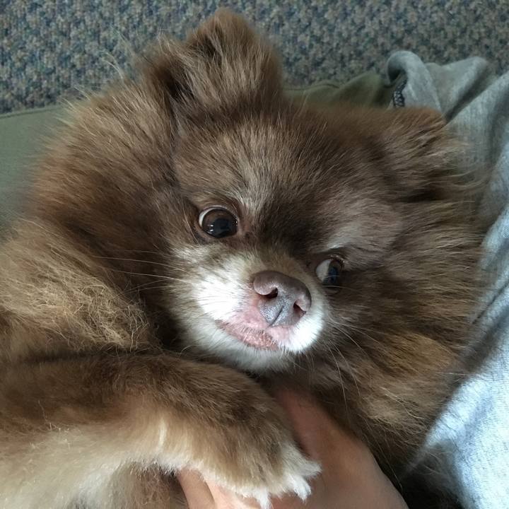 921c8da1 17a2 4447 9f34 84eb5f0b2d5c 1531468587137