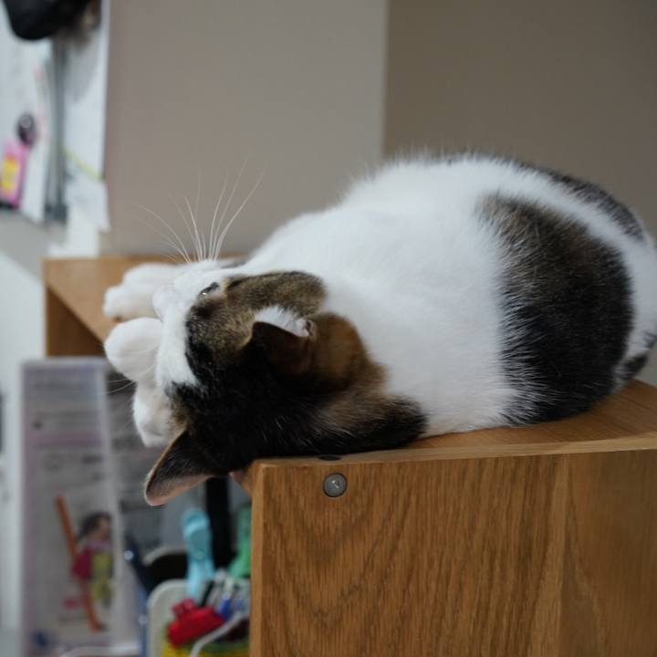 921c910f 6787 491d 8645 8ef3de83b625 1572393563015