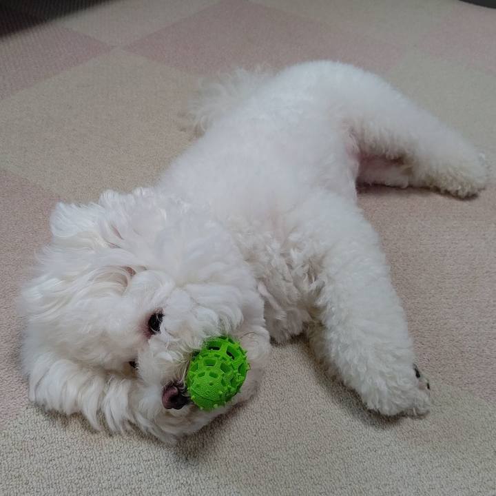 921cf8f7 db0c 4fd3 bbf0 7f11cda3a7c2 1598273488526