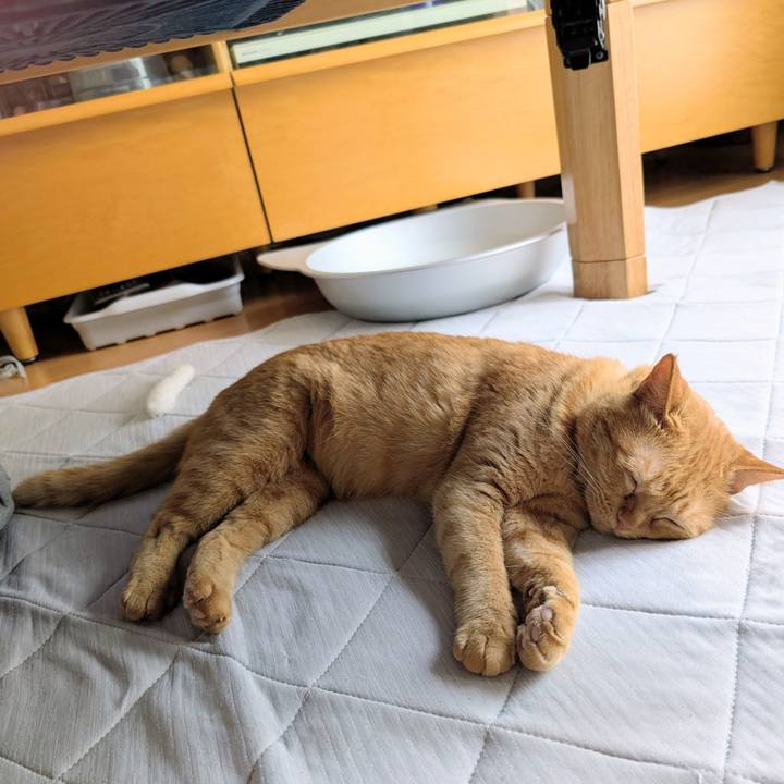 921cfa6c fe93 4c0f bc21 cd2a232ff9d1 1758150034903