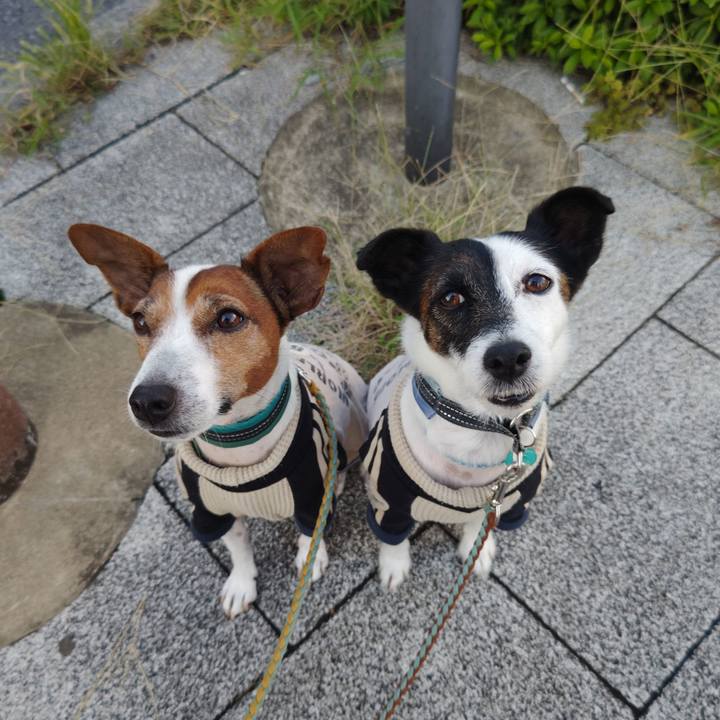 921d239a ed3f 4fa5 b052 ca5a23632de1 1728598077608