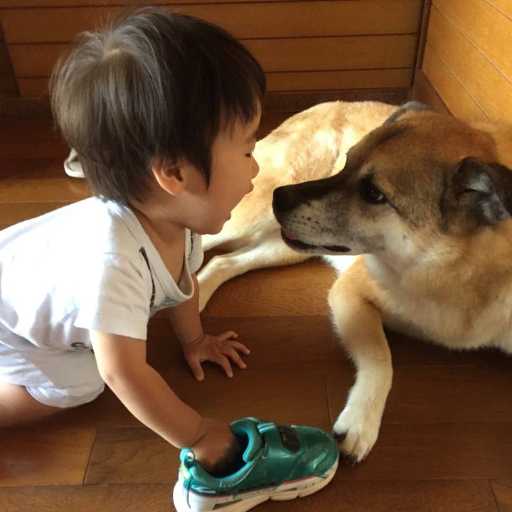 921d8895 1c5e 4de3 885c 6295a6937ab3 1565487263481