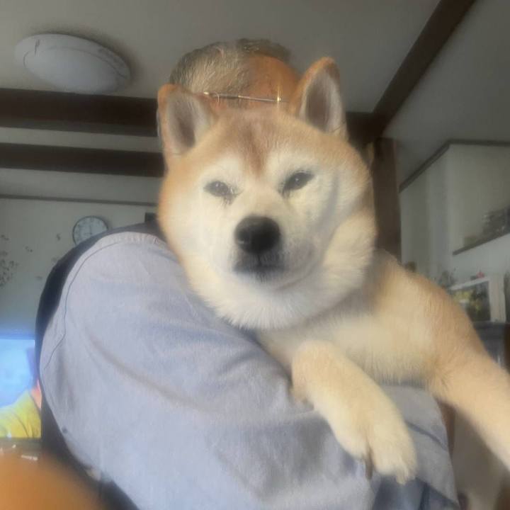 921d914d 6796 4e82 b3ff 8a8216998abb 1761955524652