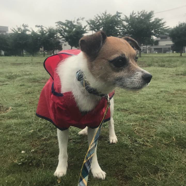 921dc0b2 0bfb 4680 a648 c9f57f9a6ebc 1533594095371