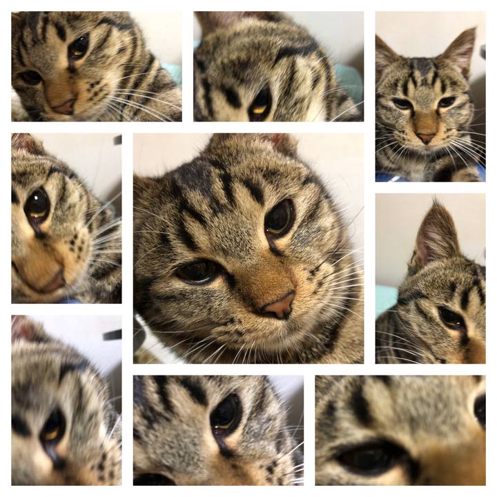 921e0471 b566 44ec 8e6b 6be7359cbea4 1741946372284