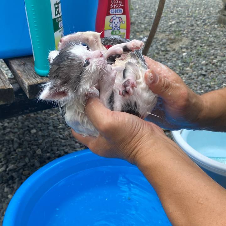 921e3dda 3f0d 496a a5d7 a4a2604e0860 1756014452126