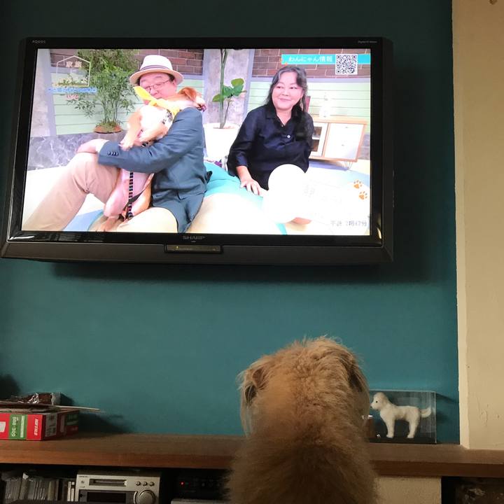 921e74be 13e4 4c4f 8e34 83eb398205f9 1569045003983