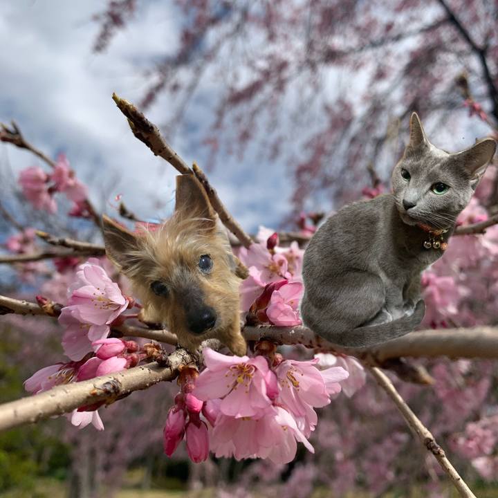 921ecb3b 5409 414c aed9 13912a294456 1616218804622