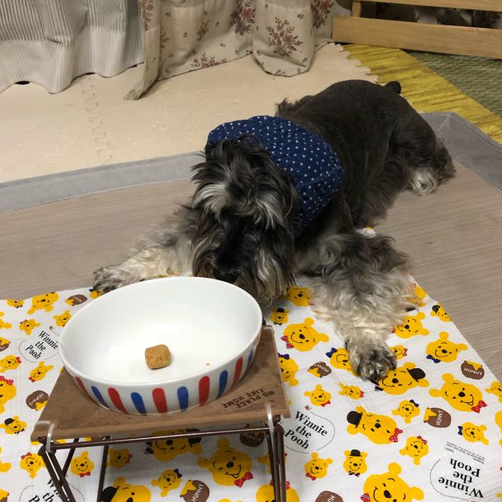 921eded4 f400 4ca8 9019 271857b8a96d 1621421142393