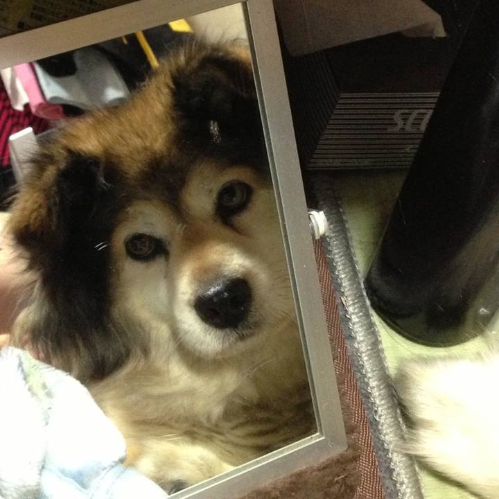 921edfb5 fdc3 4498 9dc7 b75e2db0986c 1594000107595