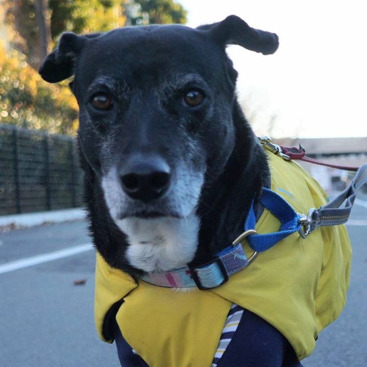 921f0790 12af 4b1a 80a8 665b1e4cac7b 1766882687367