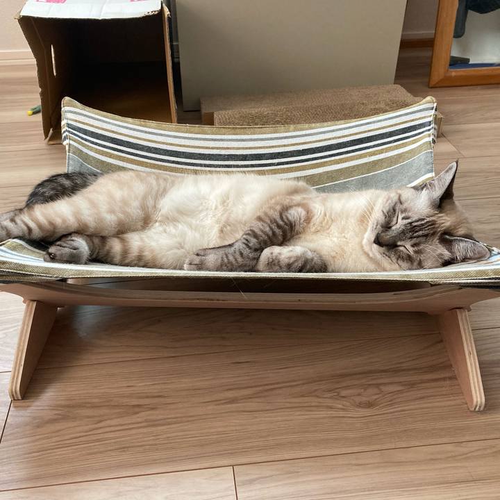 921f11d5 569d 43d4 a833 a0a47f73e1ec 1596944884515