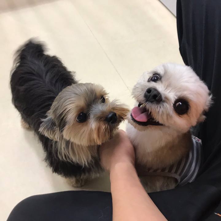 921f234c 528f 4995 8686 4a267a6a8895 1563579326561