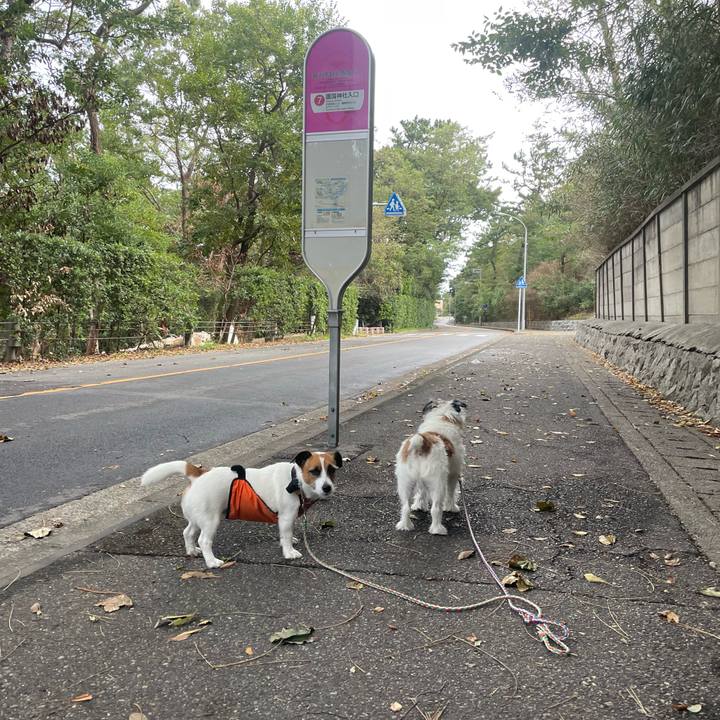 921f3240 d7d8 46fa 85f2 a3d0b1905a19 1697842286005