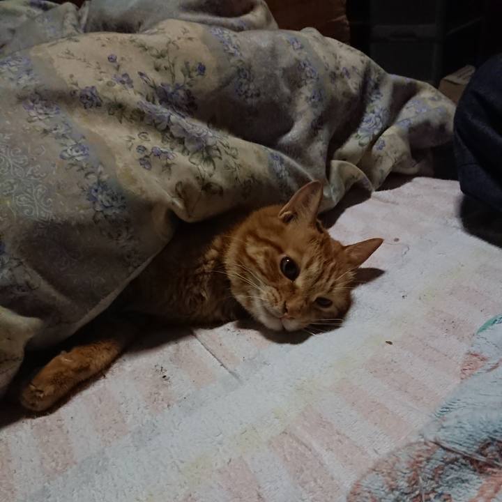 921f5be3 621e 47b4 9762 17a492446af5 1661724069933