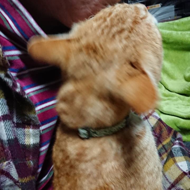 921f6b5f 78a4 4f1b a4e6 cc5ff50876e9 1584129571625