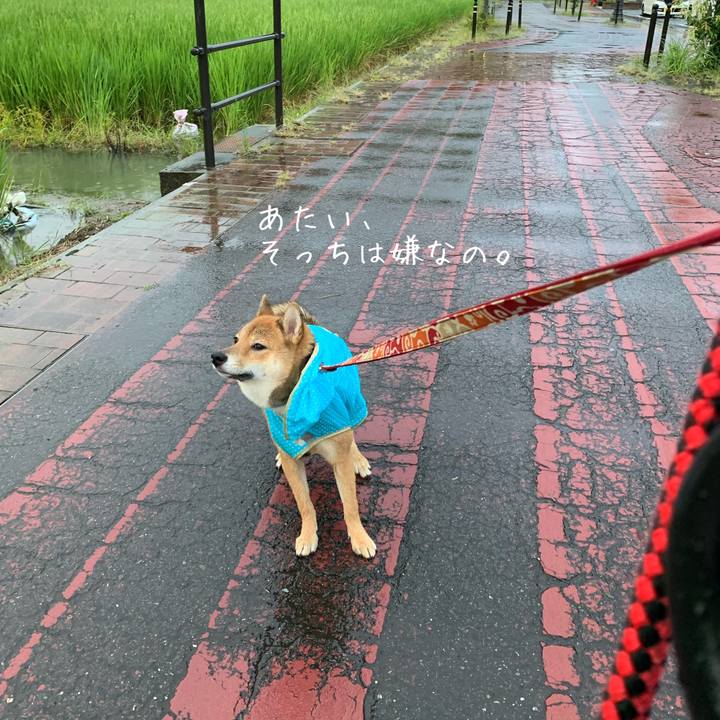 921f949f 5a08 4468 933c adc43136ef98 1631181626026