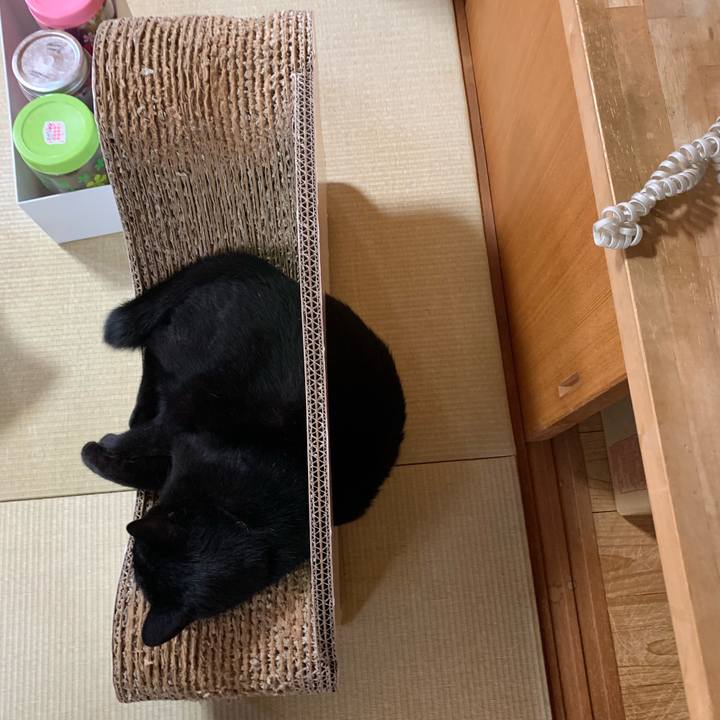 921f9940 580c 4c99 94b1 d55373bc353b 1560991561311