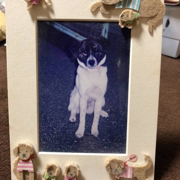 921ff932 c8a6 4c2a 85c2 70f95ec909ce 1522246697119