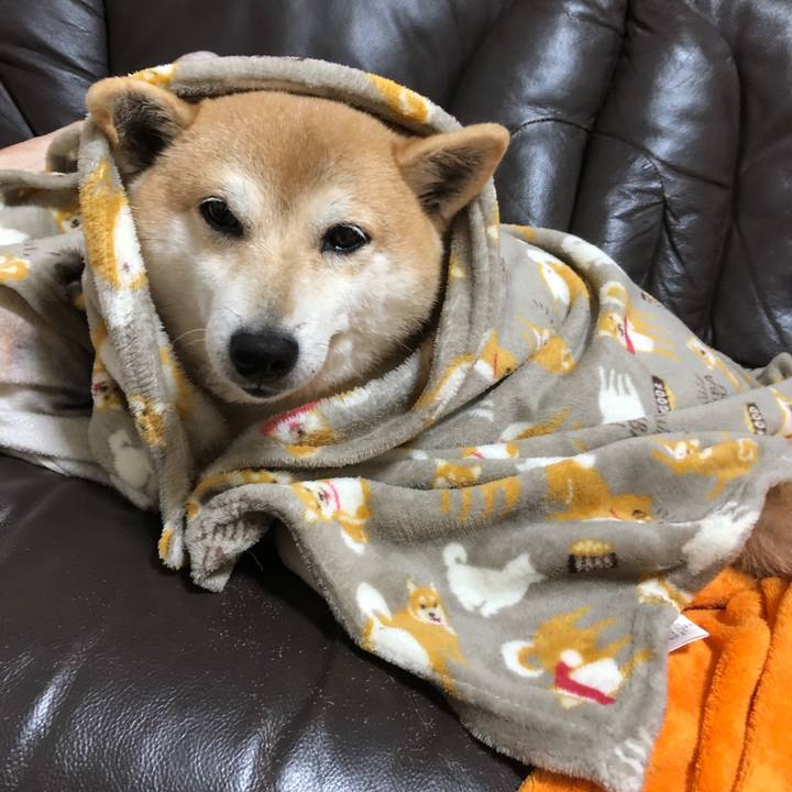 92200a78 f957 4e38 b321 5b97a6da7a7f 1549630885238