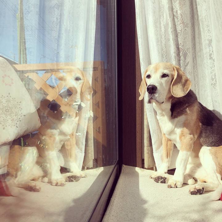 922042e3 79e1 4174 831e 30d197cbd882 1548853806690