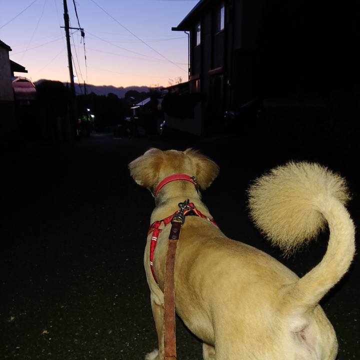 92204710 bb04 44b9 a851 ec4893ae5b5c 1605735911275