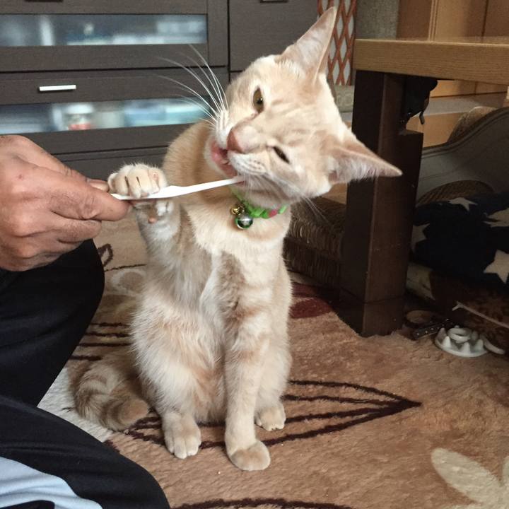 92208340 7d74 4820 917d d52bc4e721bb 1554551355355