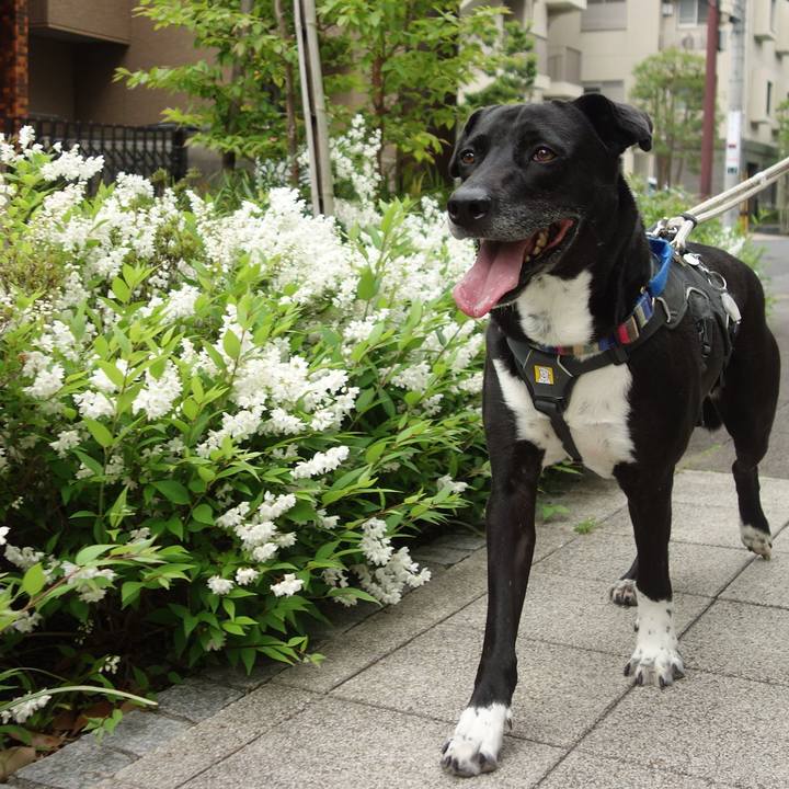 9220b5ad a6ec 4d7c b87c 7a9c5fad21d6 1650762942642