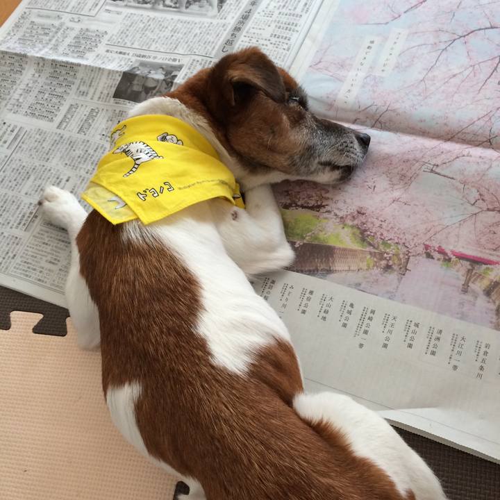 9220e524 1ac1 46ac a822 9bd3a70f95b8 1521855144919