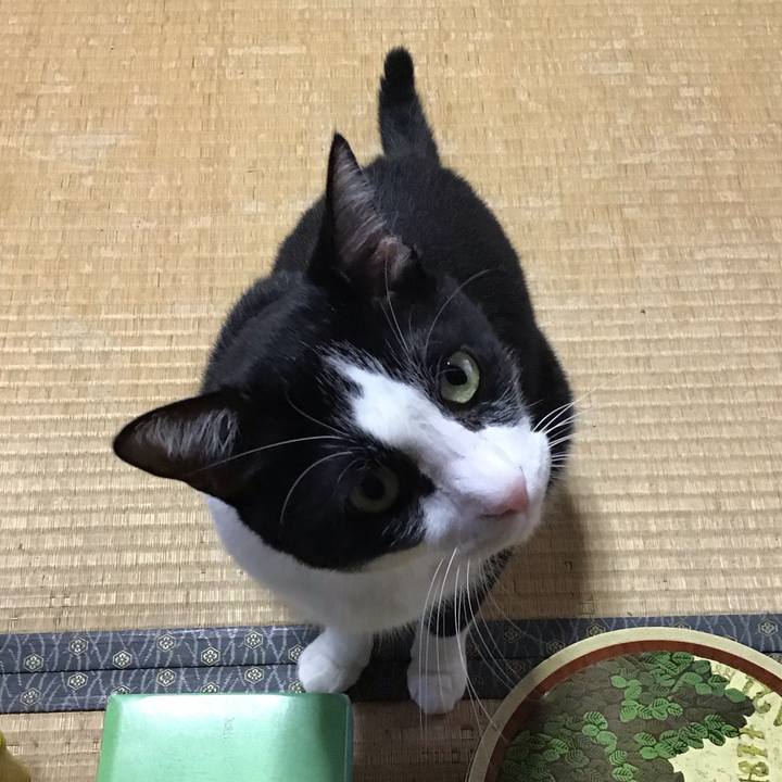 922112e8 163f 437c 95c9 44d8046eb3f1 1756457269844