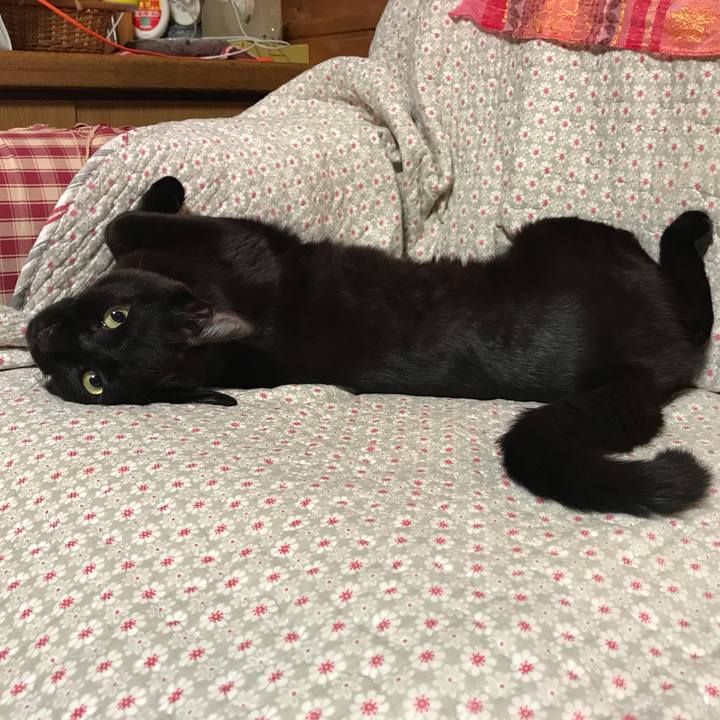 922123a6 2716 4b88 8e52 5a3a23de534c 1594128770693