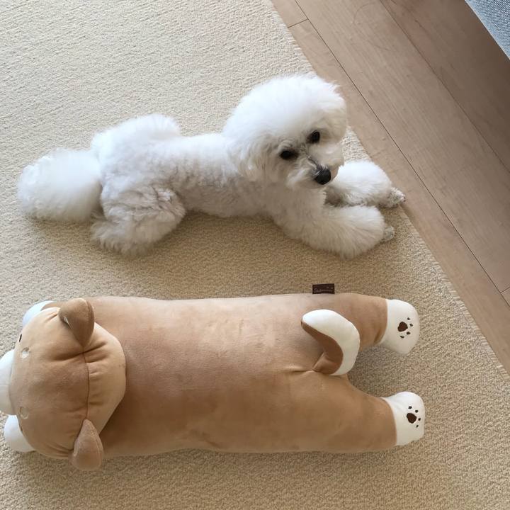 92215457 eb05 4211 8a86 82f399a625ae 1515227894470