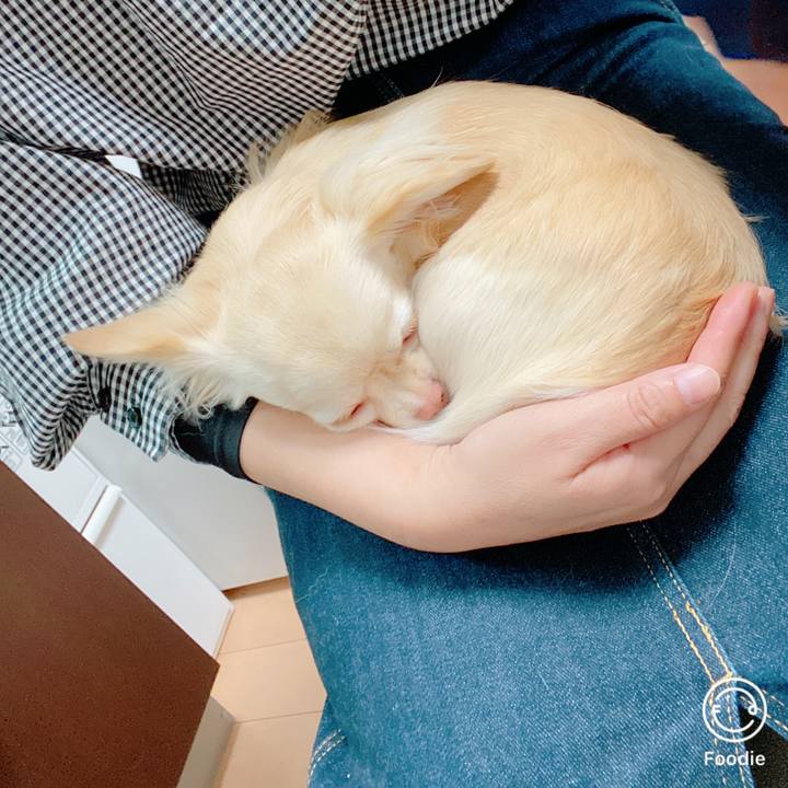 9221a032 e639 45d7 ba52 85ed306fb9a9 1639713629195