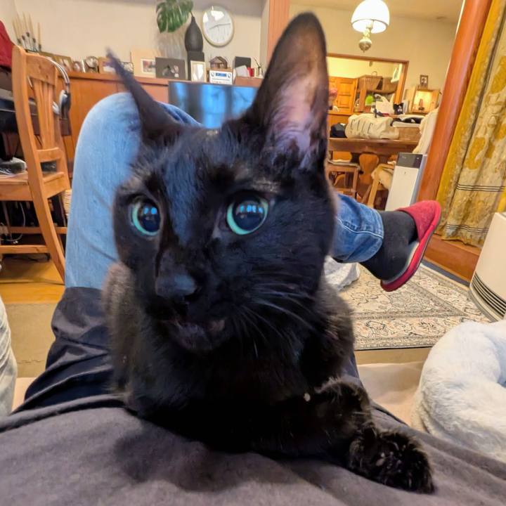 9221b1cb 516a 4fa0 a035 22d615e94c01 1774222091534