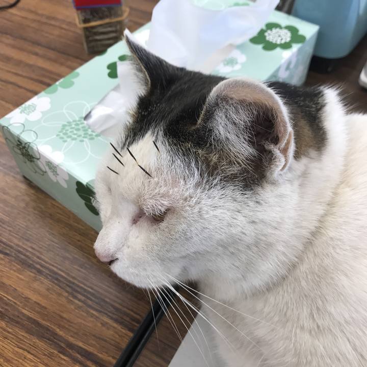 9221cdf4 122b 4047 9ba5 7546ad2b7861 1548117155602