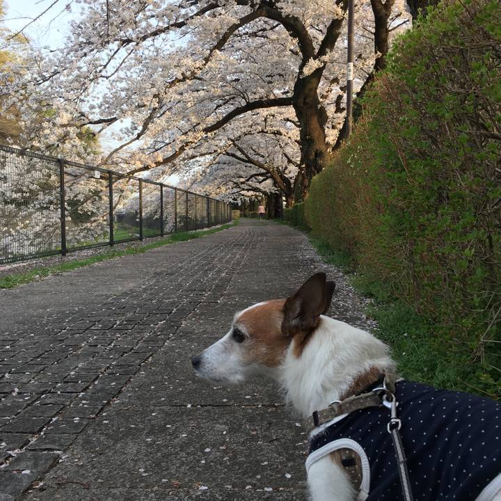 9221d07e 1e75 4d11 aac5 285432817ff2 1617060324974