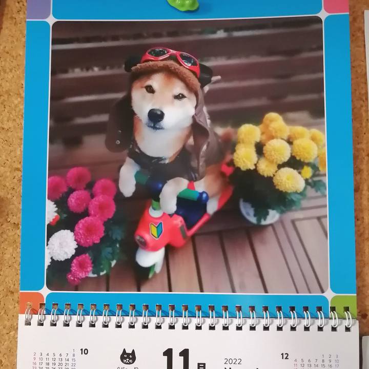 9221f578 584f 4961 82d4 241d8b9b81cf 1667293364275