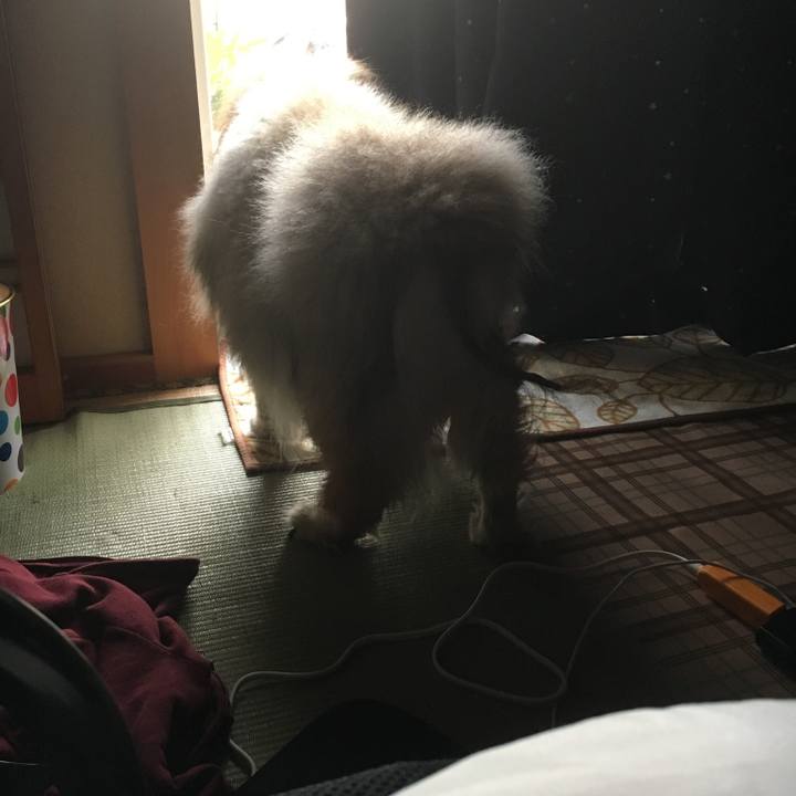 922203f7 ecfb 4c0a 80b7 c73bad8fe1a7 1599380696649