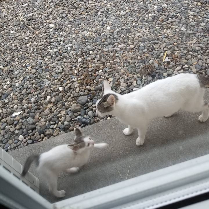 92223745 7058 4775 99ae 279853edcbea 1629715575337