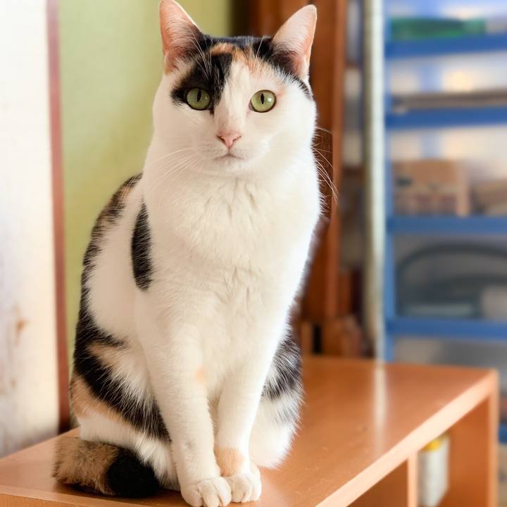 9222429b fbbe 437d 9104 73d25d887973 1581557534588