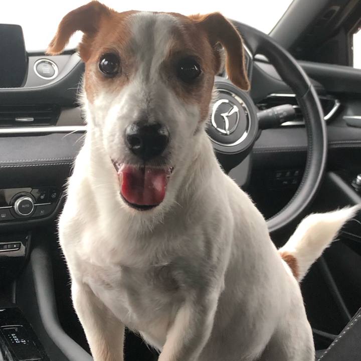 92224d2c 9f54 4319 87dd b7c9e487e58a 1750239790891