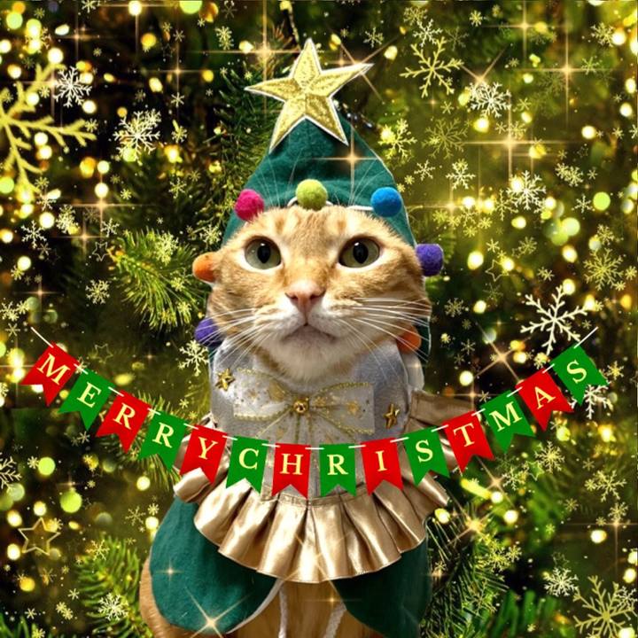 92225506 07e1 41a9 9479 3bb38240c303 1640258481173