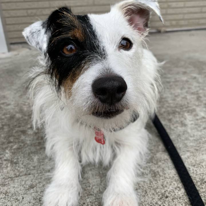 92227106 b547 46f3 936a 4c3451e04235 1599956063975