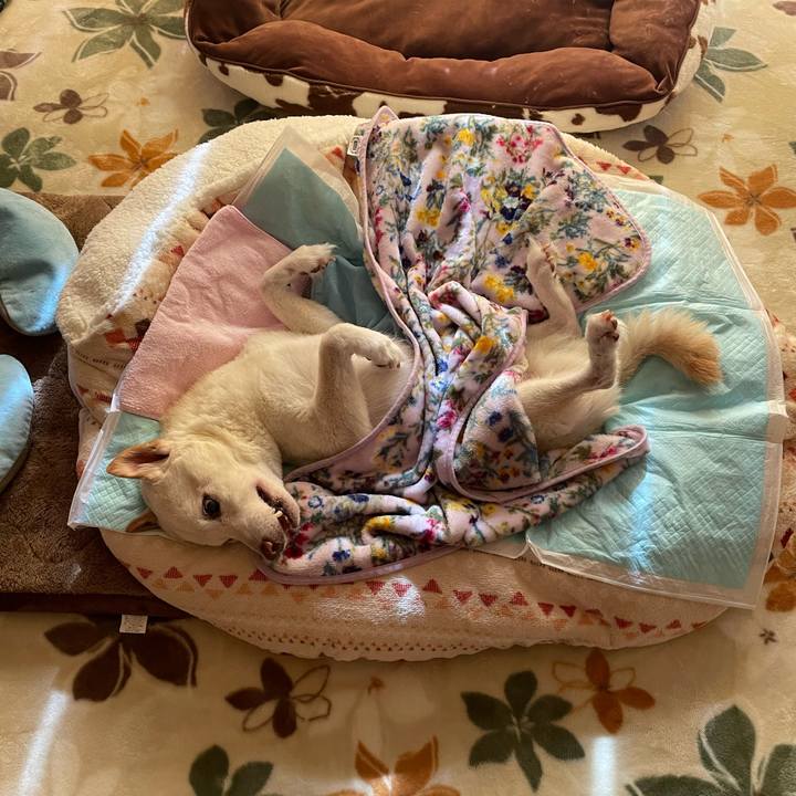 922279c2 49c2 4e67 8137 776838f13fbf 1669256545947