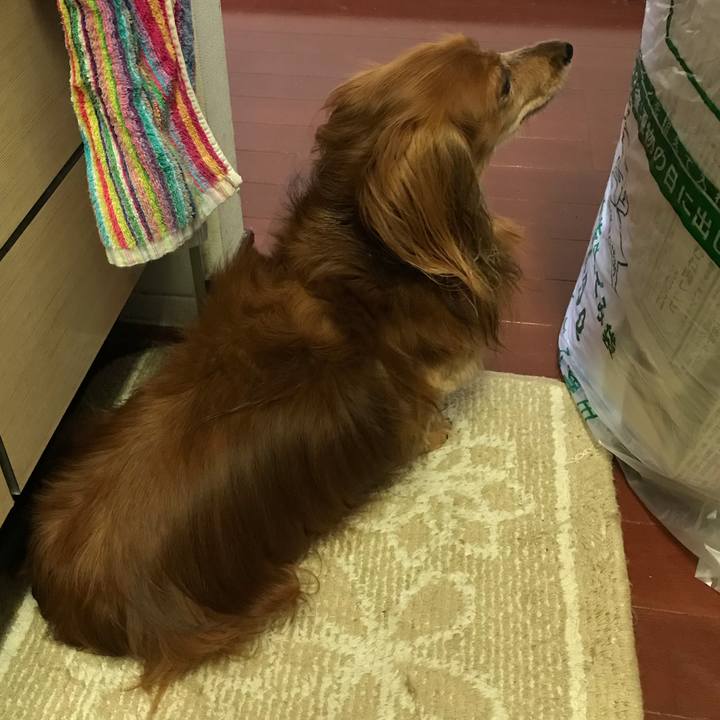 9222992b 28ed 49d5 8cde 5c82391d5d73 1572217289807